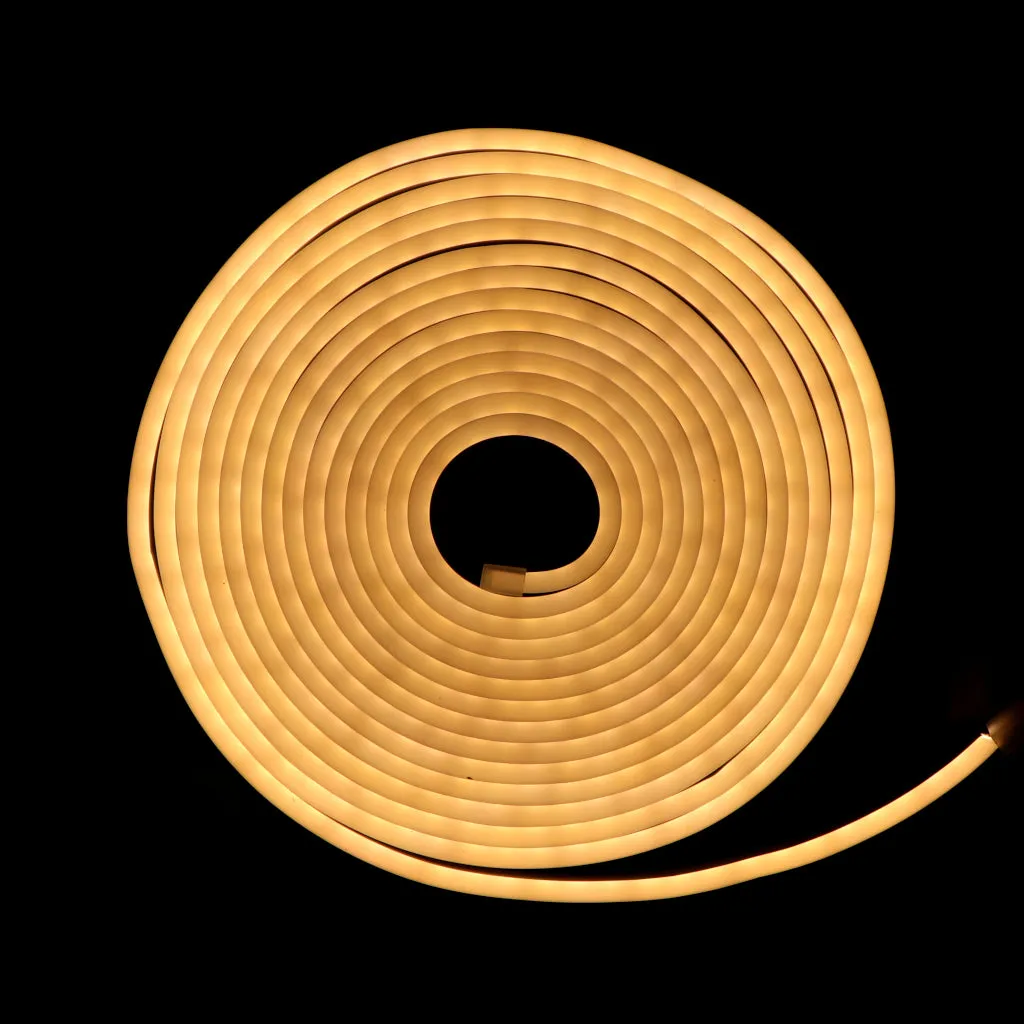 12v Neon Flexible LED Strip Light - Multicolor