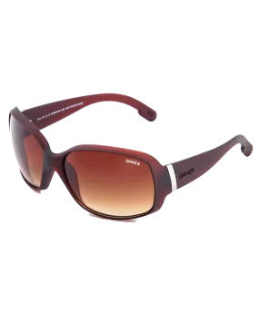Amos Sunglasses in Brown