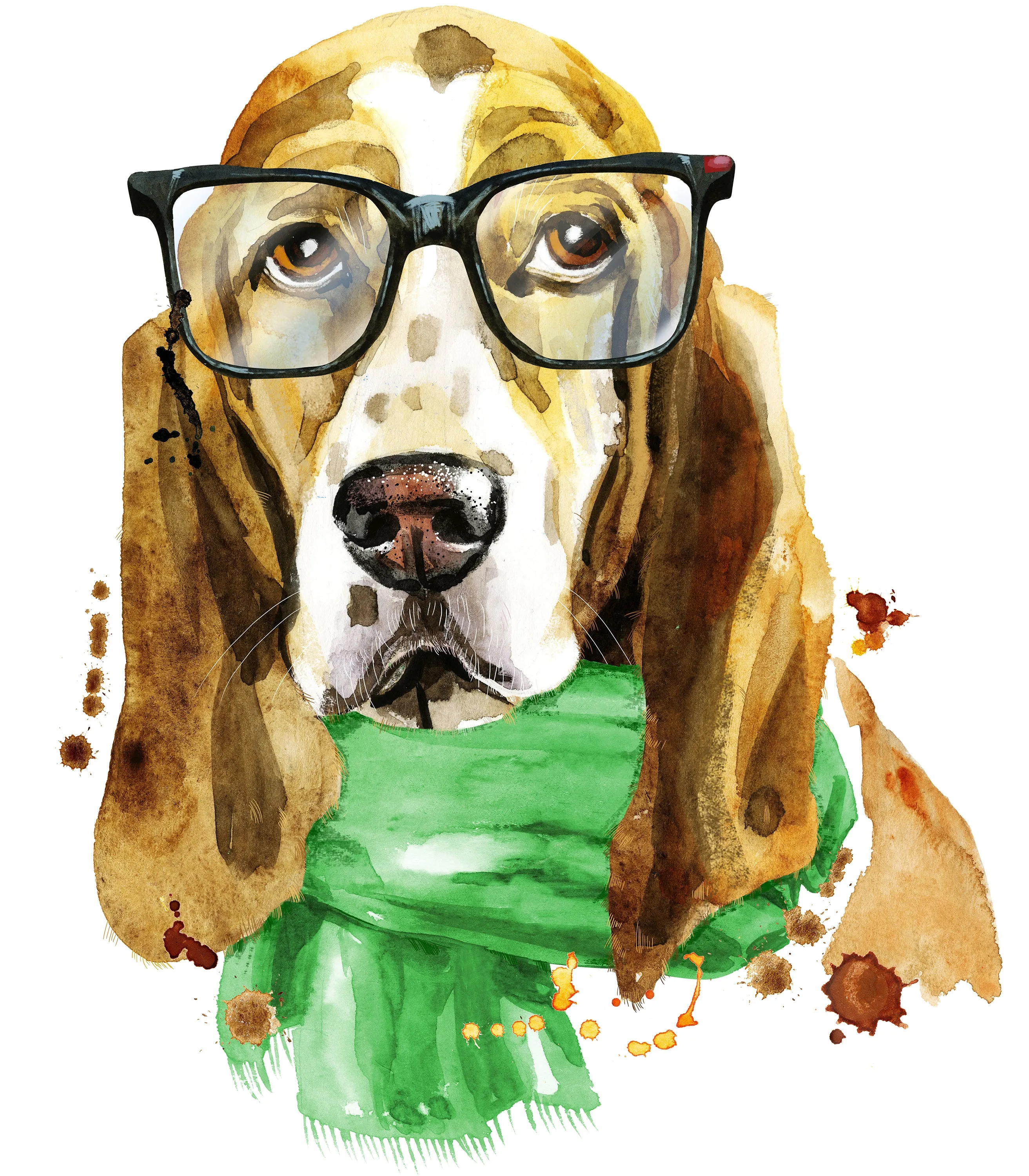 Dog Fabric, Smart Basset Hound, He has glasses, 2065
