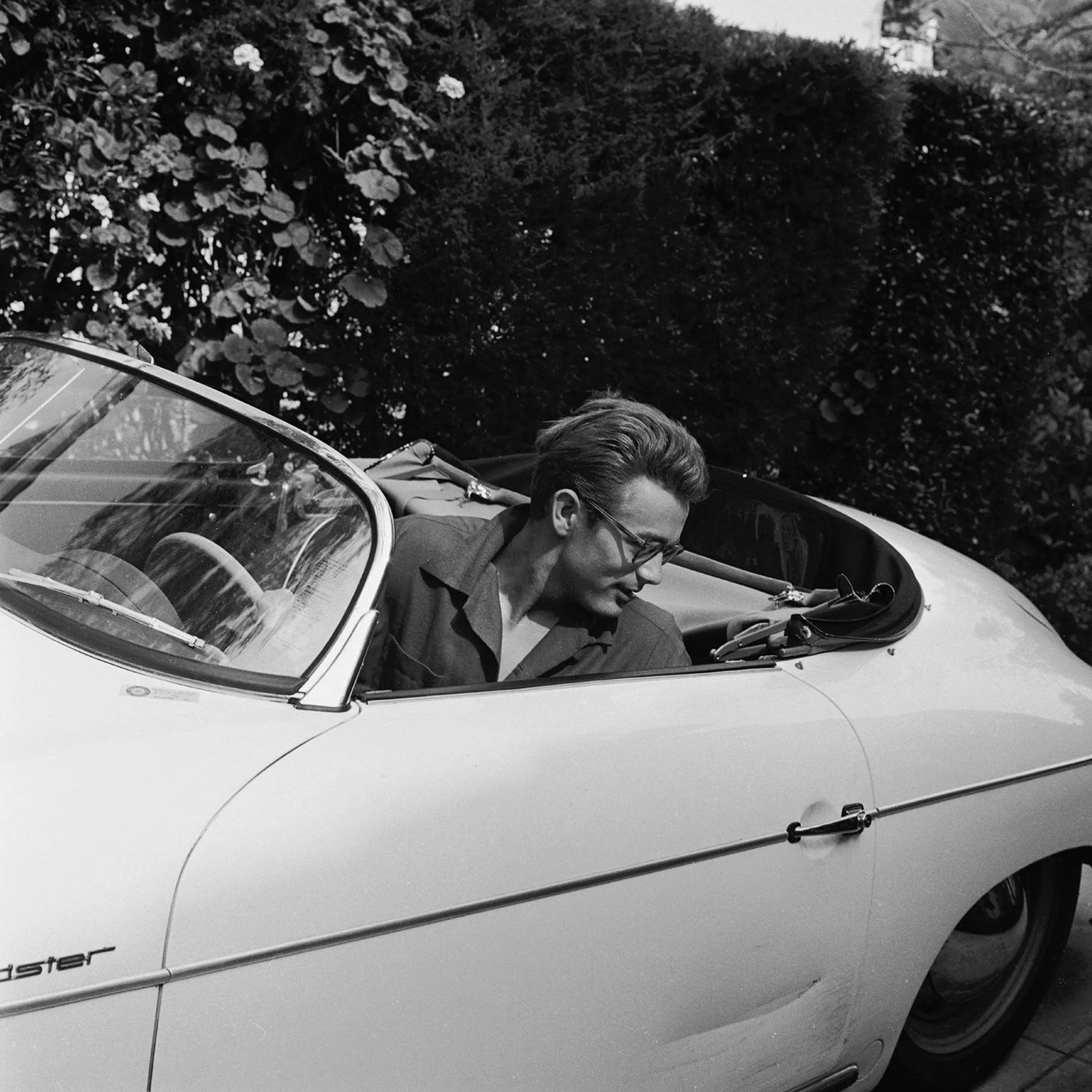 James Dean® - Piano Black with Gold - Sky Blue