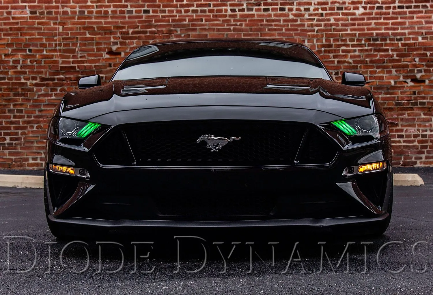 Mustang 2018 RGBWA DRL LED Boards EU